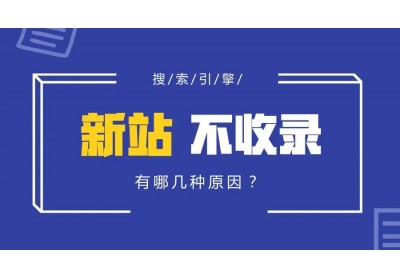 新网站有排名没有收录是什么原因？